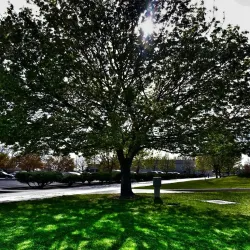 Big Bend Community College - Moses Lake