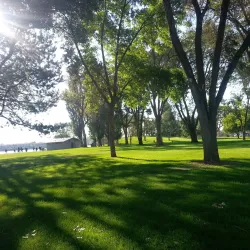 Blue Heron Park - Moses Lake