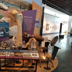 Moses Lake Museum & Art Center - Moses Lake