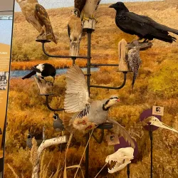 Moses Lake Museum & Art Center - Moses Lake