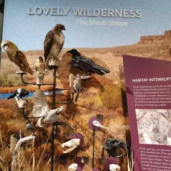 Moses Lake Museum & Art Center - Moses Lake