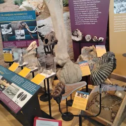 Moses Lake Museum & Art Center - Moses Lake