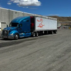 Apple Orchards of Naches - Naches