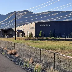 Apple Orchards of Naches - Naches