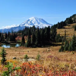 Mount Rainier National Park (Nearby) - Naches