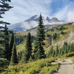 Mount Rainier National Park (Nearby) - Naches