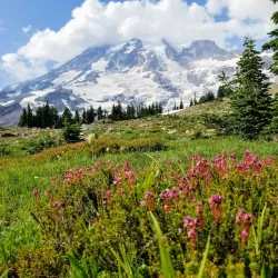 Mount Rainier National Park (Nearby) - Naches