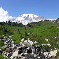 Mount Rainier National Park (Nearby) - Naches