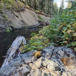 Tieton River Recreation Area - Naches