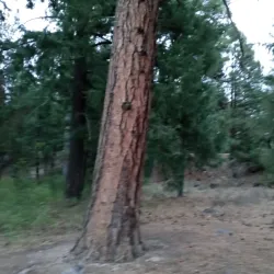 Tieton River Recreation Area - Naches