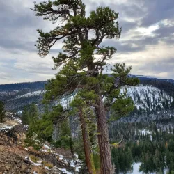 Wenatchee National Forest - Naches