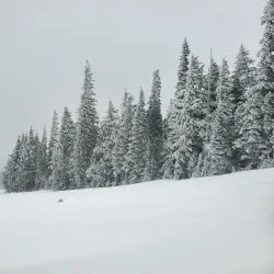 Wenatchee National Forest - Naches