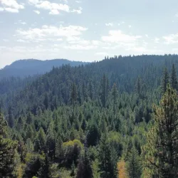 Wenatchee National Forest - Naches