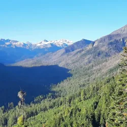 Wenatchee National Forest - Naches