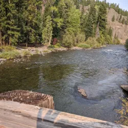 Wenatchee National Forest - Naches