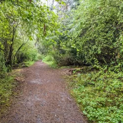 Joseph Whidbey State Park - Oak Harbor