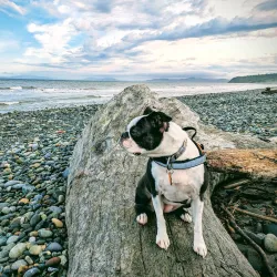 Joseph Whidbey State Park - Oak Harbor
