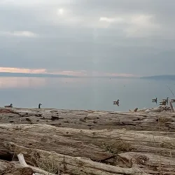 Windjammer Park - Oak Harbor