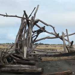 Damon Point - Ocean Shores