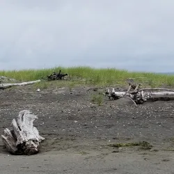 Damon Point - Ocean Shores