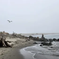 Damon Point - Ocean Shores