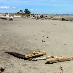 Damon Point - Ocean Shores