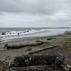 Damon Point - Ocean Shores