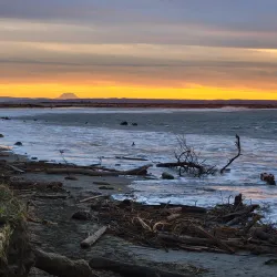 Damon Point - Ocean Shores