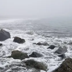 Damon Point - Ocean Shores