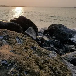 Damon Point - Ocean Shores