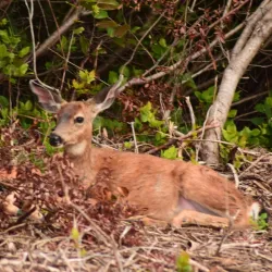 North Beach Recreation Area - Ocean Shores