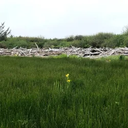 North Beach Recreation Area - Ocean Shores