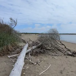 North Beach Recreation Area - Ocean Shores