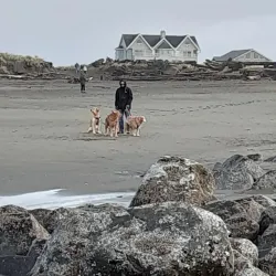 North Jetty - Ocean Shores