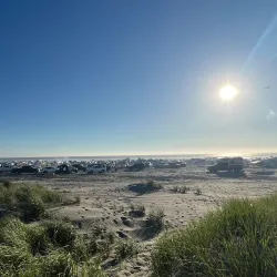 Ocean Shores Beach - Ocean Shores
