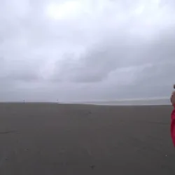 Ocean Shores Beach - Ocean Shores
