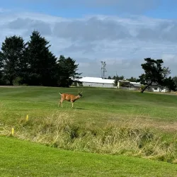 Ocean Shores Golf Course - Ocean Shores