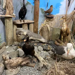 Ocean Shores Interpretive Center - Ocean Shores