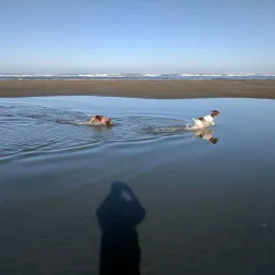 The Golf Club at Ocean Shores - Ocean Shores