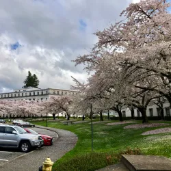 Governor's Mansion - Olympia