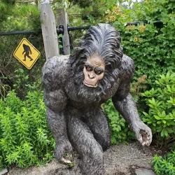 Hands On Children's Museum - Olympia