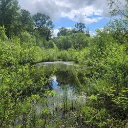 Nisqually National Wildlife Refuge - Olympia