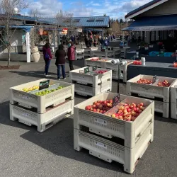 Olympia Farmers Market - Olympia