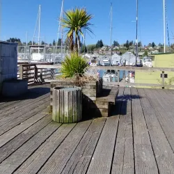 Percival Landing Park - Olympia