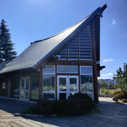 Percival Landing Park - Olympia