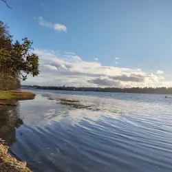 Priest Point Park - Olympia