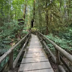 Priest Point Park - Olympia