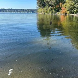 Priest Point Park - Olympia