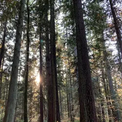 Priest Point Park - Olympia