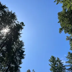 Priest Point Park - Olympia